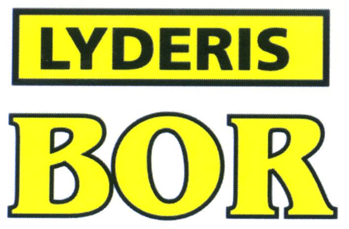 Prekės ženklas: LYDERIS BOR
